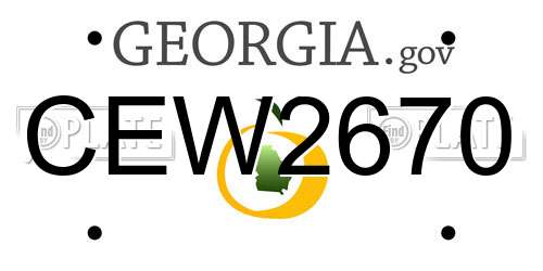 CEW2670 Georgia License Plate