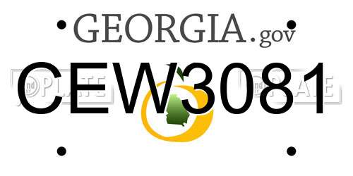 CEW3081 Georgia License Plate