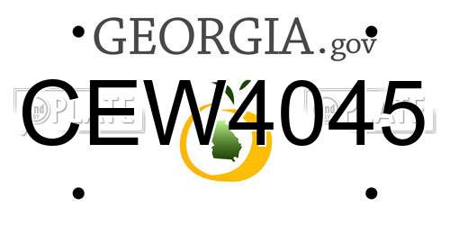 CEW4045 Georgia License Plate