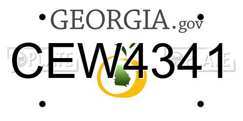 CEW4341 Georgia License Plate