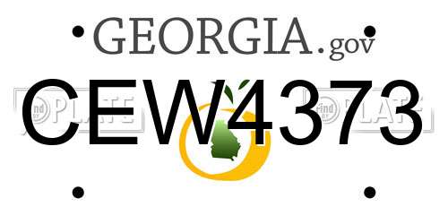 CEW4373 Georgia License Plate