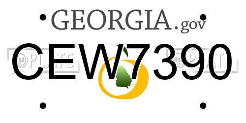 CEW7390 Georgia License Plate