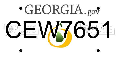 CEW7651 Georgia License Plate