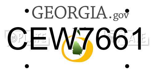 CEW7661 Georgia License Plate
