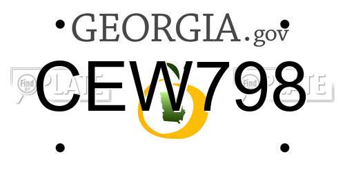 CEW798 Georgia License Plate