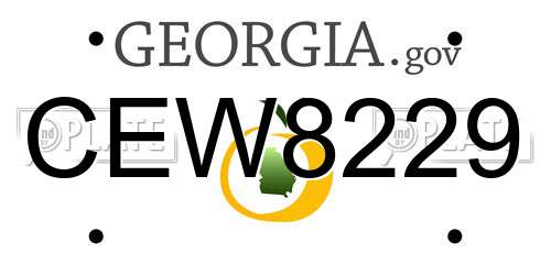 CEW8229 Georgia License Plate
