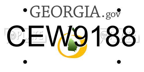 CEW9188 Georgia License Plate