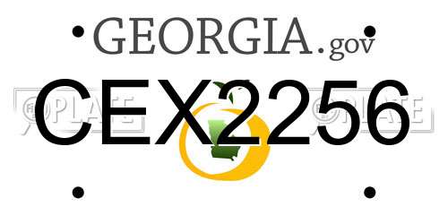 CEX2256 Georgia License Plate