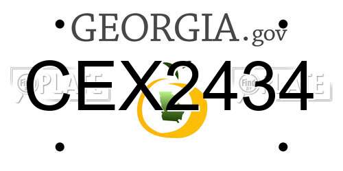 CEX2434 Georgia License Plate
