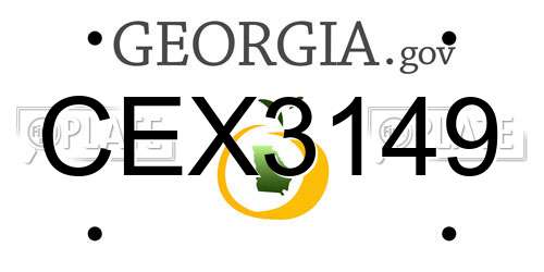 CEX3149 Georgia License Plate