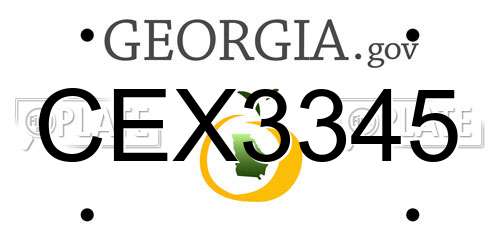 CEX3345 Georgia License Plate