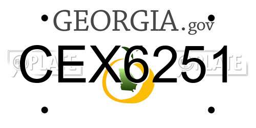 CEX6251 Georgia License Plate