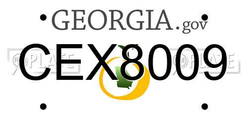 CEX8009 Georgia License Plate
