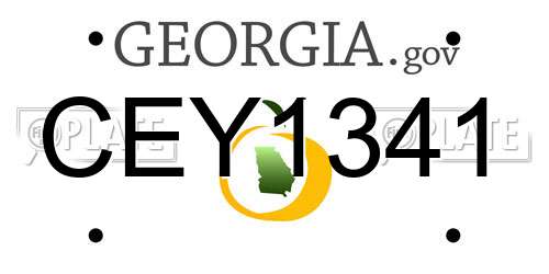 CEY1341 Georgia License Plate