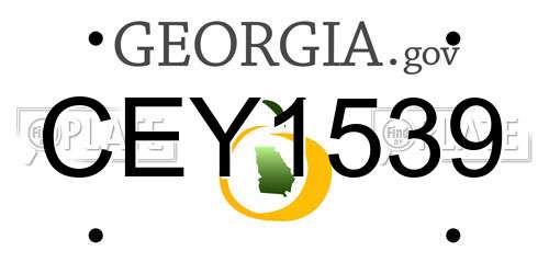 CEY1539 Georgia License Plate