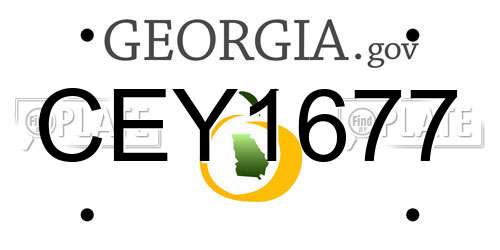 CEY1677 Georgia License Plate