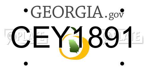 CEY1891 Georgia License Plate