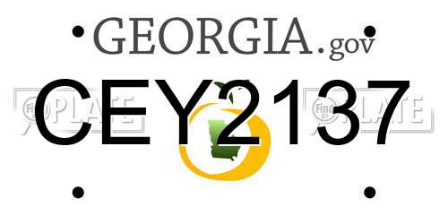 CEY2137 Georgia License Plate