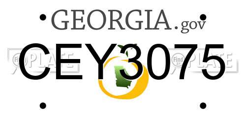 CEY3075 Georgia License Plate
