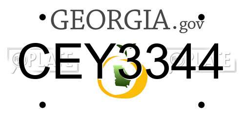 CEY3344 Georgia License Plate