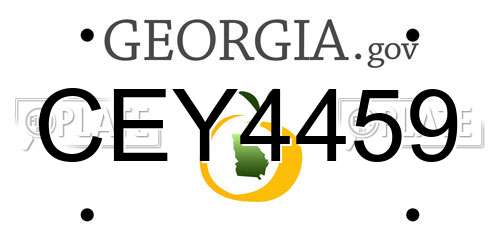 CEY4459 Georgia License Plate