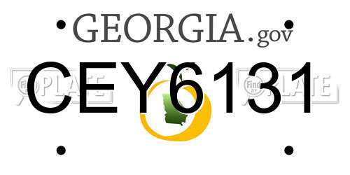 CEY6131 Georgia License Plate