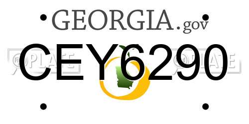 CEY6290 Georgia License Plate