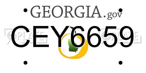 CEY6659 Georgia License Plate