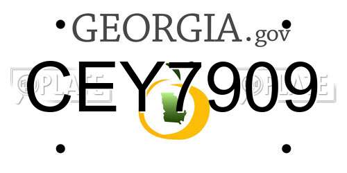 CEY7909 Georgia License Plate