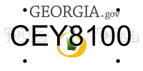 CEY8100 Georgia License Plate