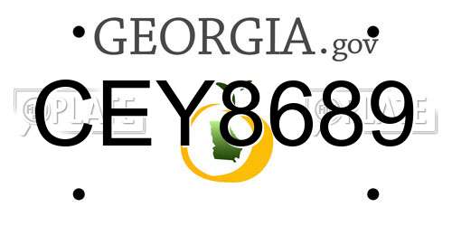 CEY8689 Georgia License Plate