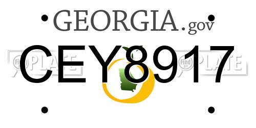 CEY8917 Georgia License Plate