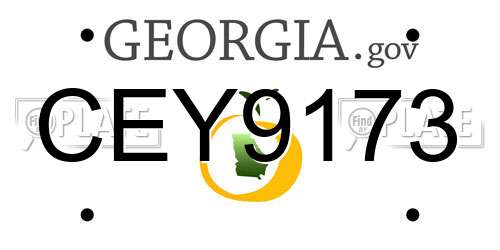 CEY9173 Georgia License Plate
