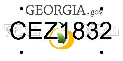 CEZ1832 Georgia License Plate