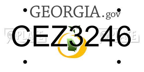 CEZ3246 Georgia License Plate