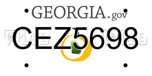 CEZ5698 Georgia License Plate