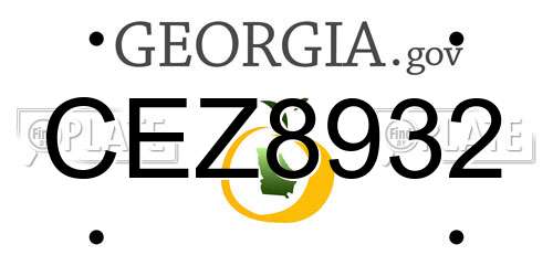 CEZ8932 Georgia License Plate