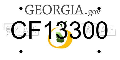 CF13300 Georgia License Plate