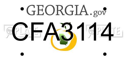 CFA3114 Georgia License Plate