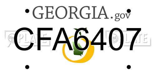 CFA6407 Georgia License Plate