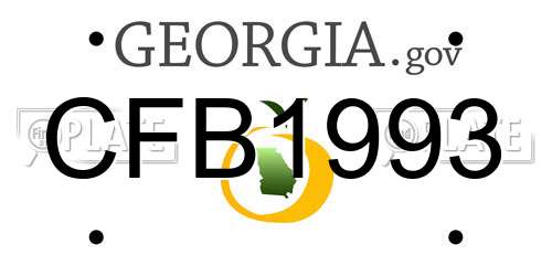 CFB1993 Georgia License Plate