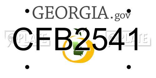 CFB2541 Georgia License Plate