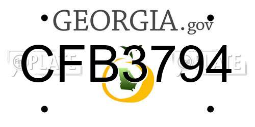 CFB3794 Georgia License Plate