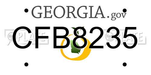 CFB8235 Georgia License Plate