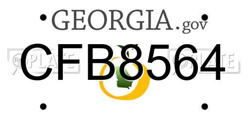 CFB8564 Georgia License Plate