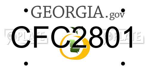 CFC2801 Georgia License Plate