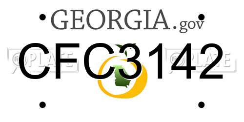 CFC3142 Georgia License Plate