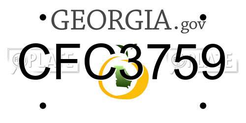 CFC3759 Georgia License Plate