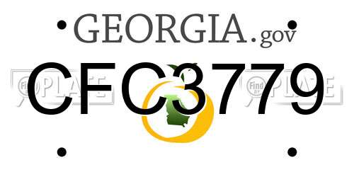 CFC3779 Georgia License Plate