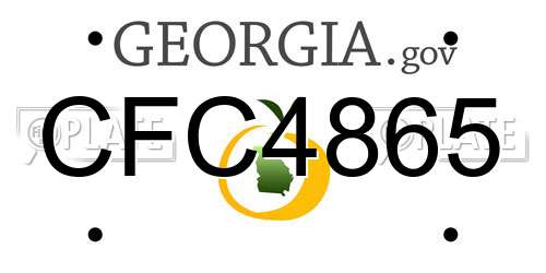 CFC4865 Georgia License Plate